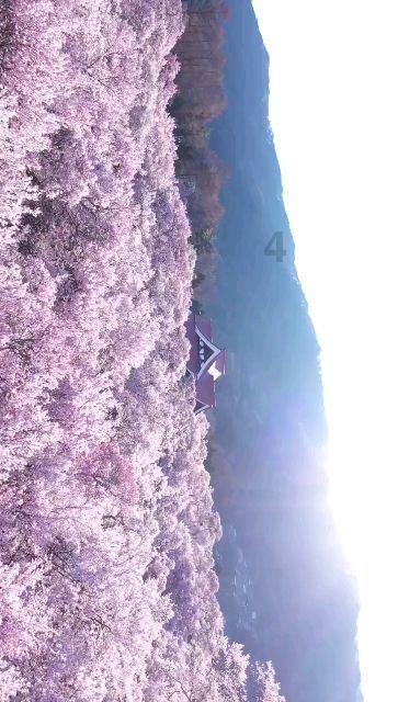 海底世界填颜色3